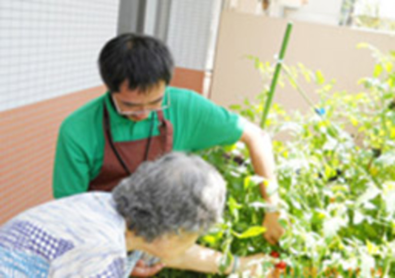 園芸レクリエーション