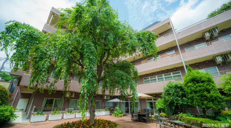 もみの樹・練馬