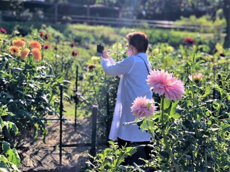 グランクレール美しが丘_散歩