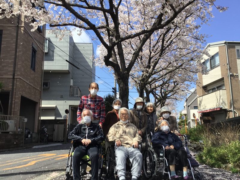 ライブラリ新柴又_桜