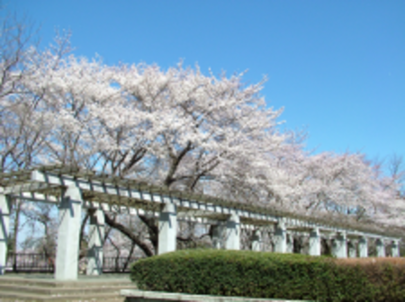ガーデンテラス富士森公園_公園