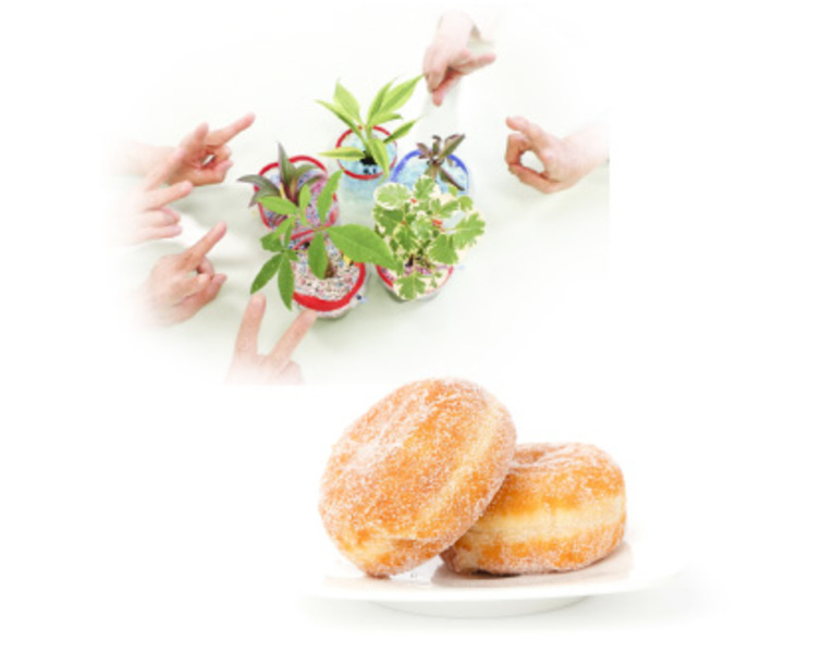 レクリエーション