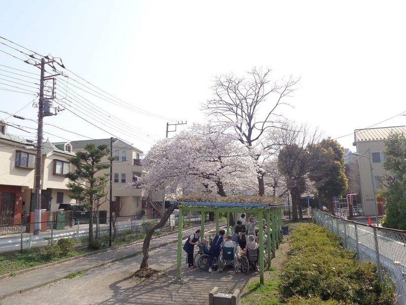 ライブラリ大森東2番館_桜