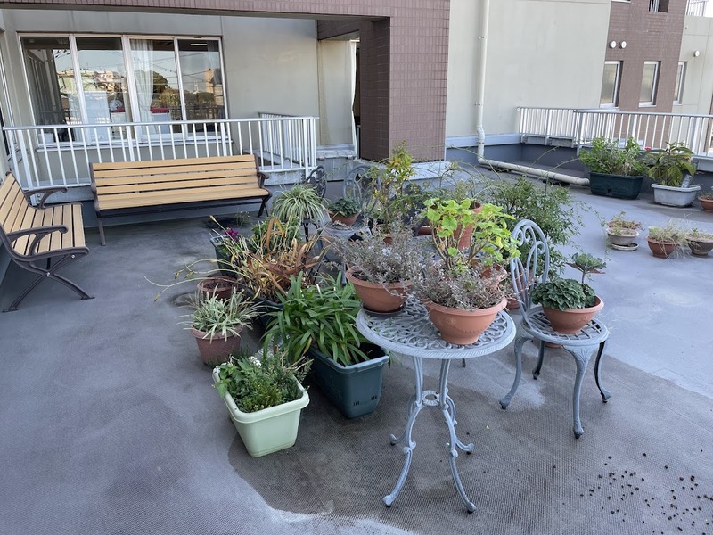ベランダ庭園