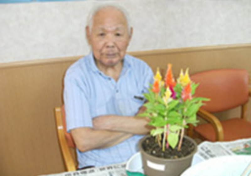 園芸レクリエーション