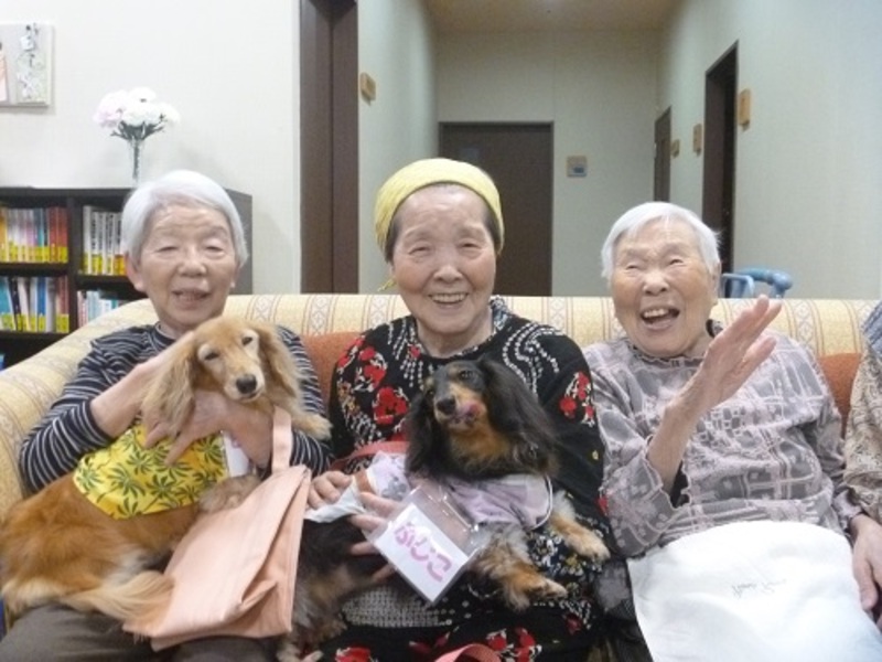 アニマルセラピー