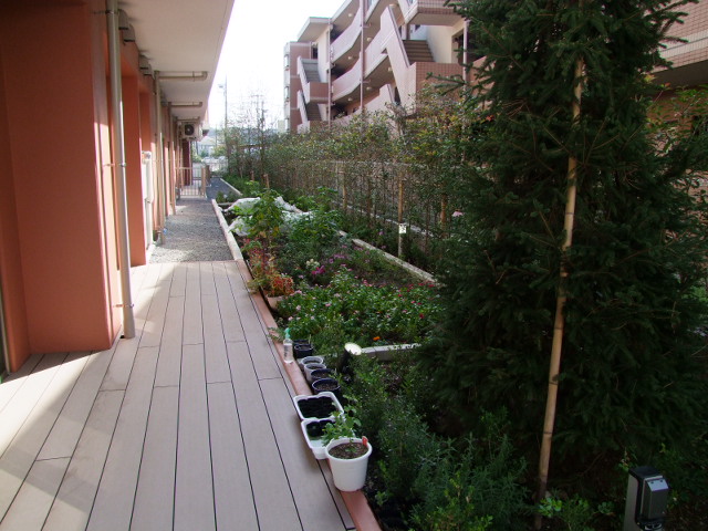 自前の「みらい元気農園」入居者と一緒に収穫を楽しむ「農園ツアー」も