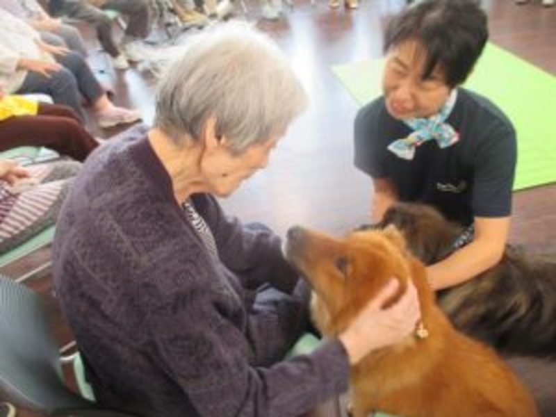 ドックセラピー