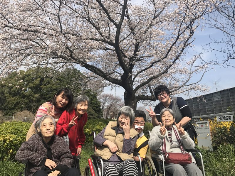 ライブラリ初石_花見