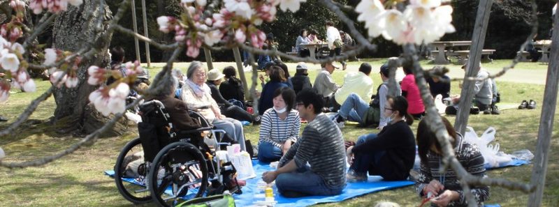 ライブラリ八木山南_花見
