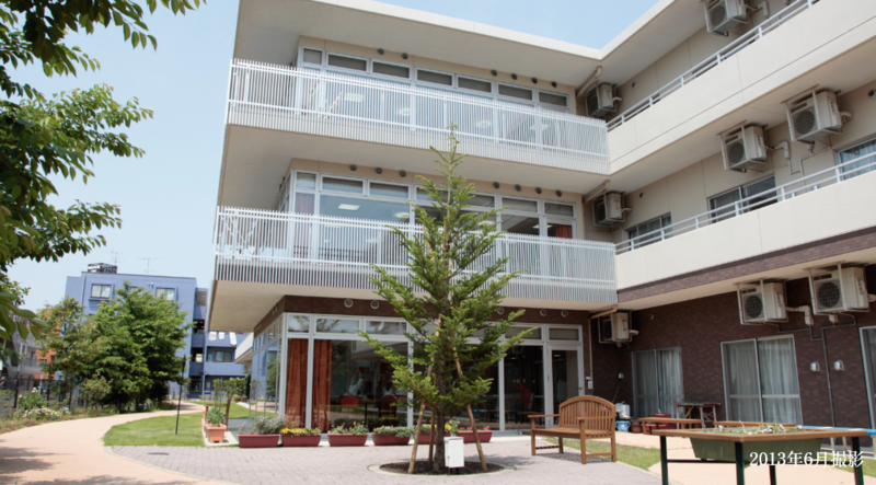 もみの樹・横浜鶴見