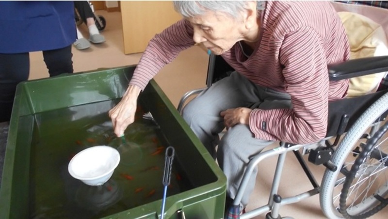 ライブラリ大田中央_金魚すくい