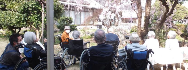 ライブラリ橋本_花見