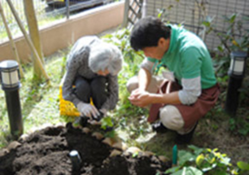 園芸レクリエーション