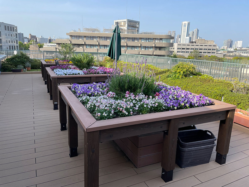 屋上庭園