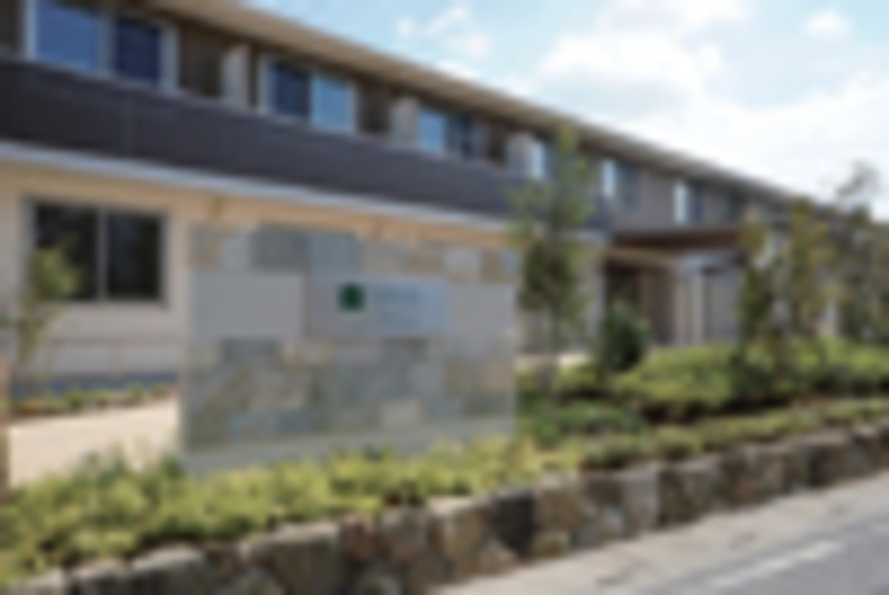 グランドマストやさしえ川口三ツ和