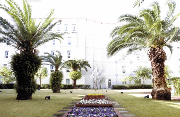 ソノラス・コート油壺